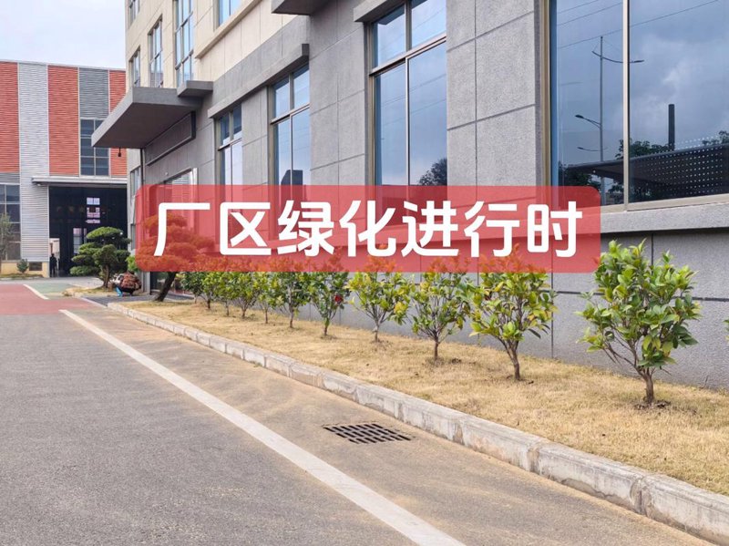 景观绿化施工