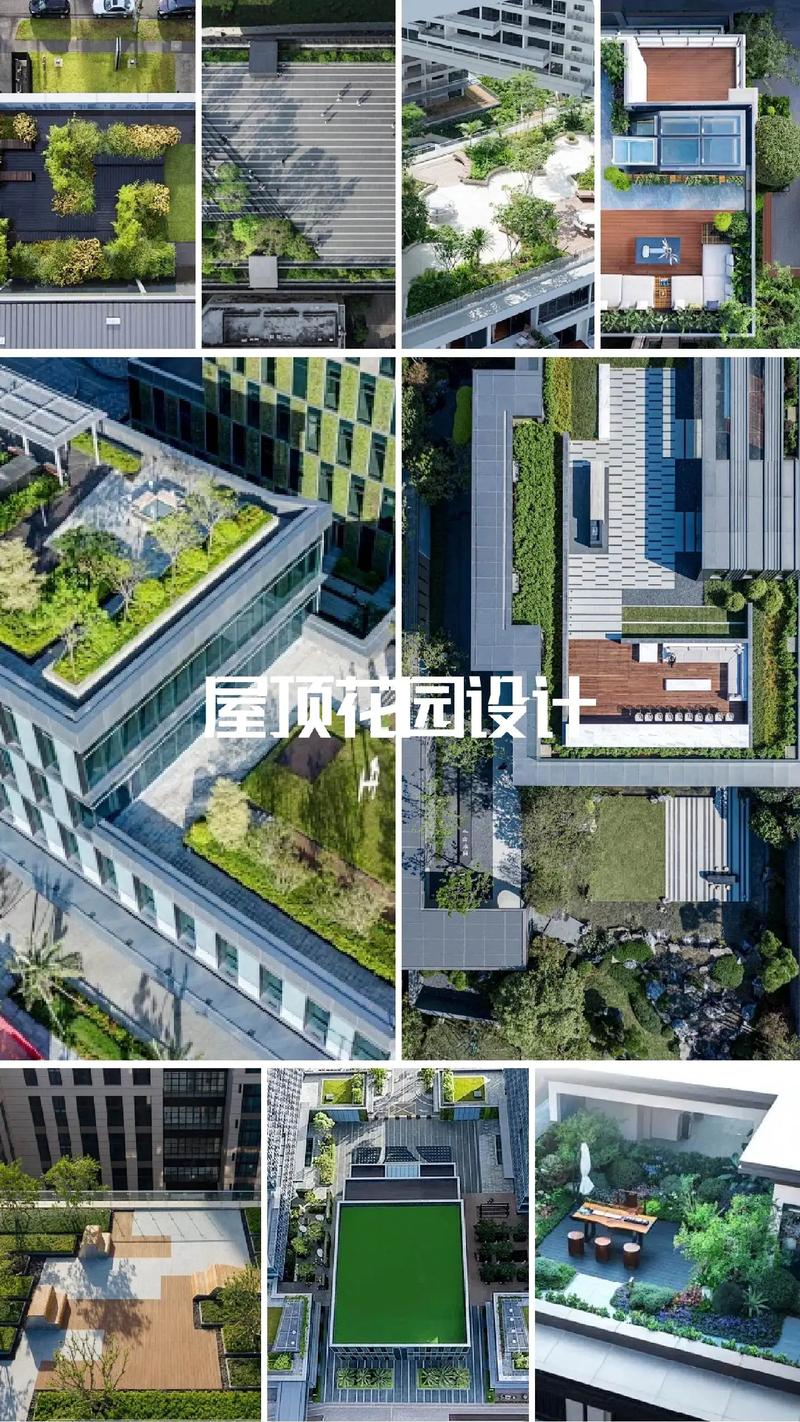 聚焦景观绿化施工：打造城市绿肺