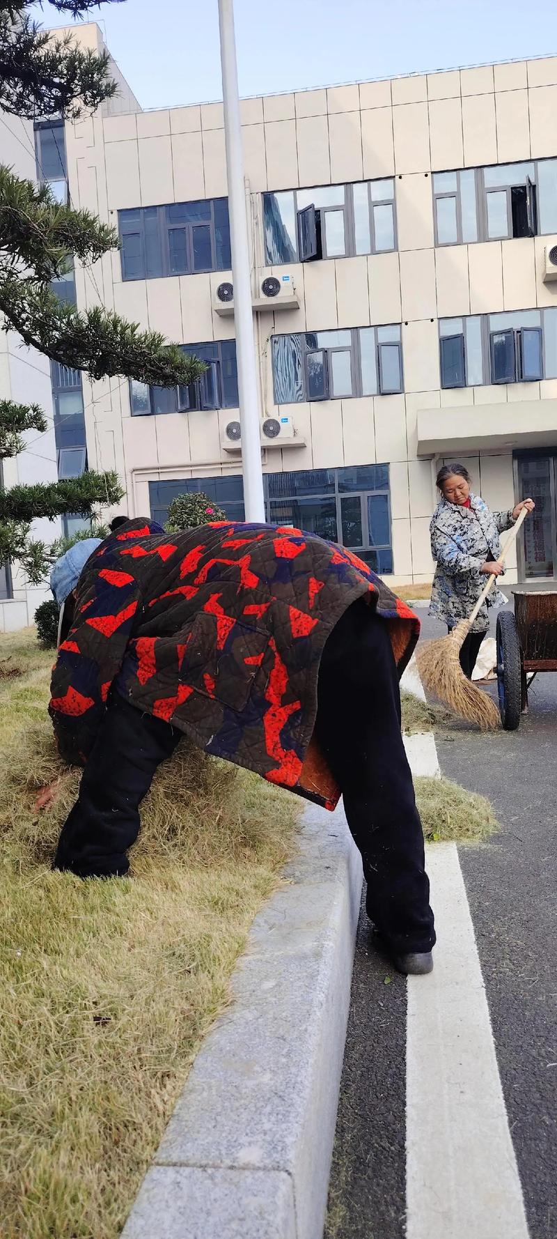 厂区绿化养护